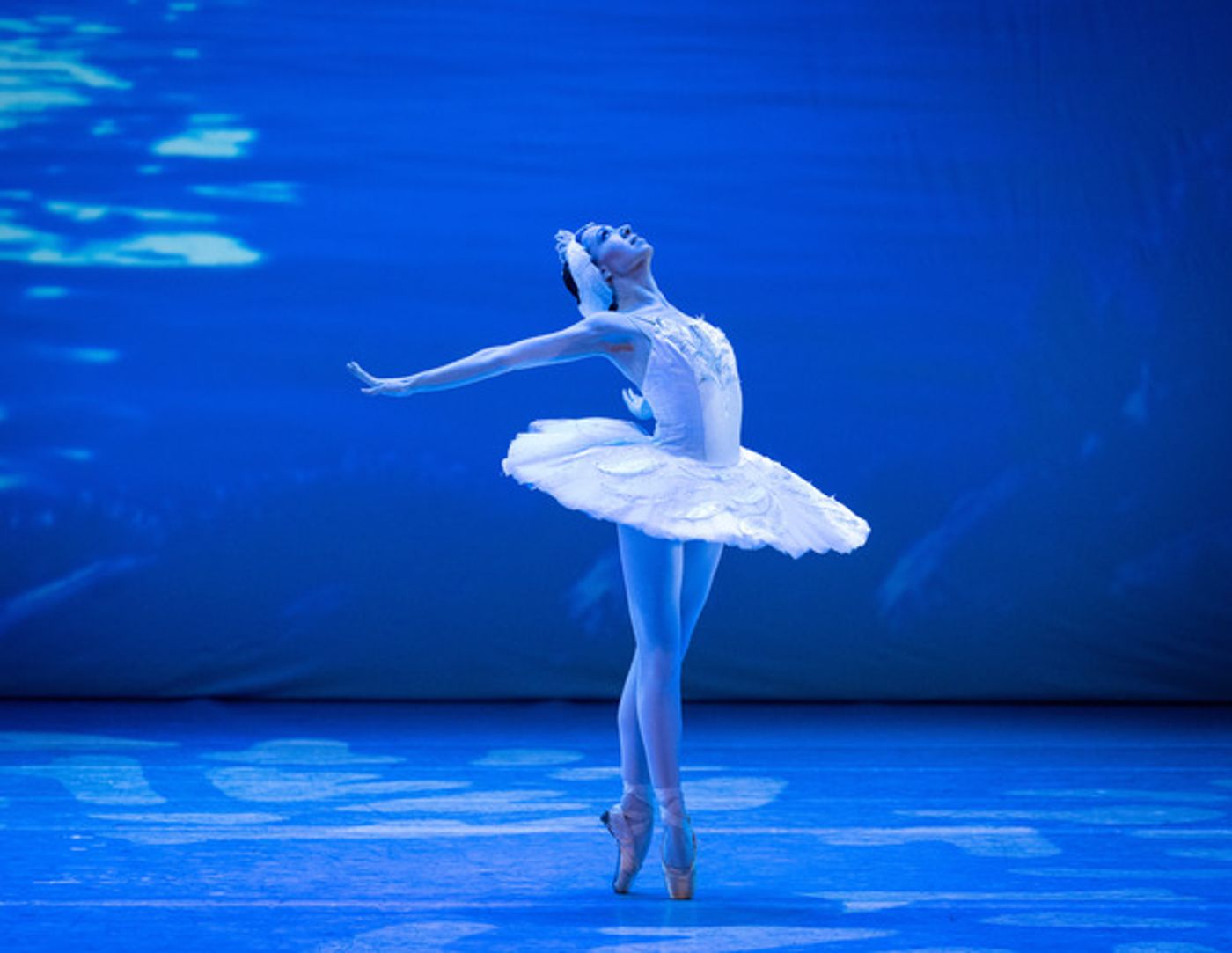 Photos: First Look at SWAN LAKE & THE NUTCRACKER From the Varna International Ballet's Debut UK Tour  Image