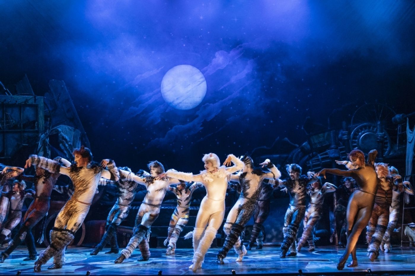 Review: CATS at National Theatre  Image