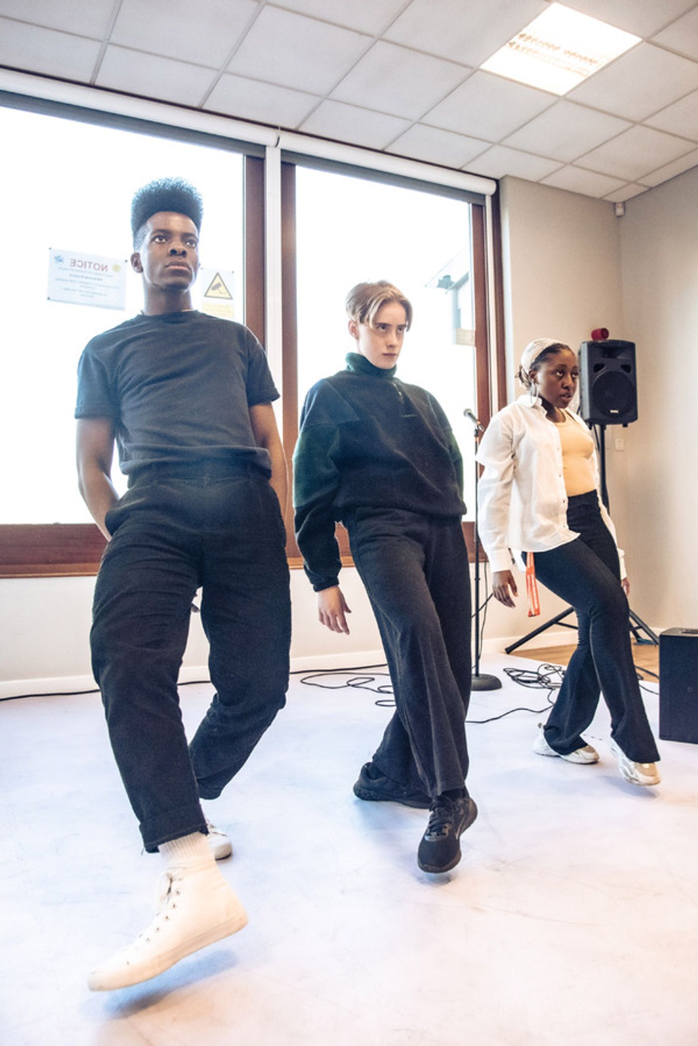 Photos: First Look at BIRDS AND BEES UK Tour in Rehearsal  Image
