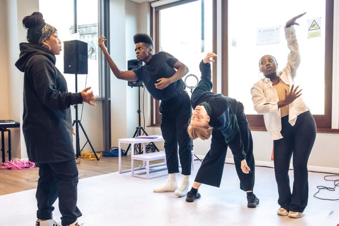 Photos: First Look at BIRDS AND BEES UK Tour in Rehearsal  Image
