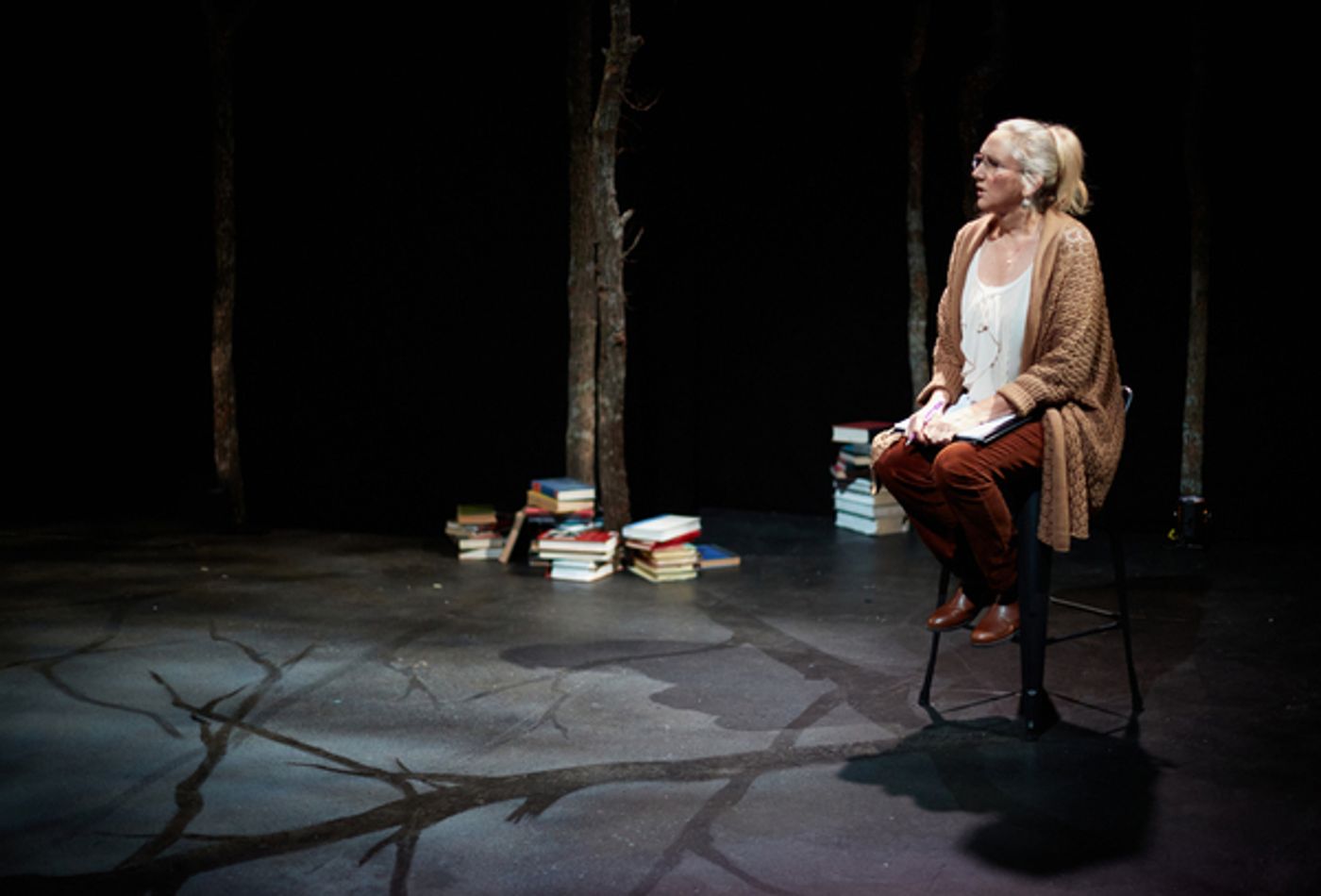 Photos: First Look at THE SOUND INSIDE at 4th Wall Theatre  Image