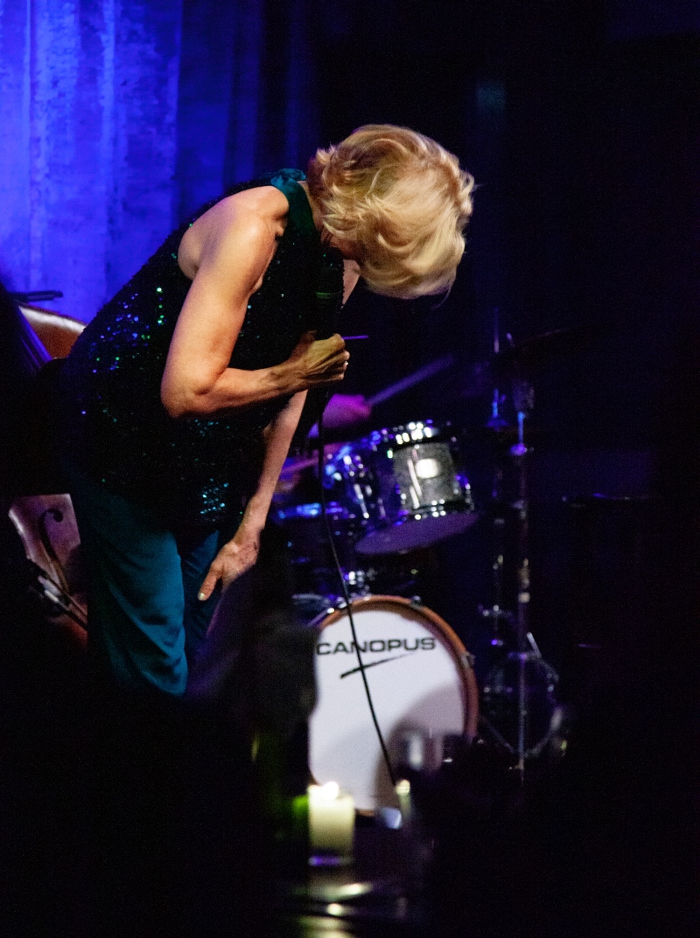 Review: Linda Purl Is A Breath Of Fresh Air At Birdland Theater With THIS COULD BE THE START Review: Linda Purl Is A Breath Of Fresh Air At Birdland Theater With THIS COULD BE THE START Image