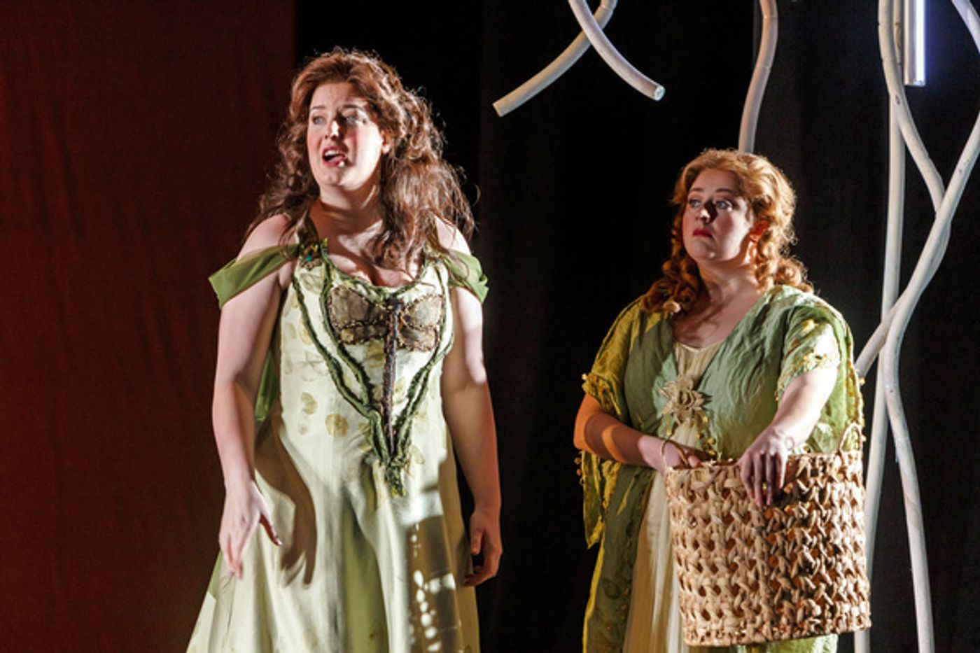 Photos: First Look at ARIODANTE at Pittsburgh Opera  Image