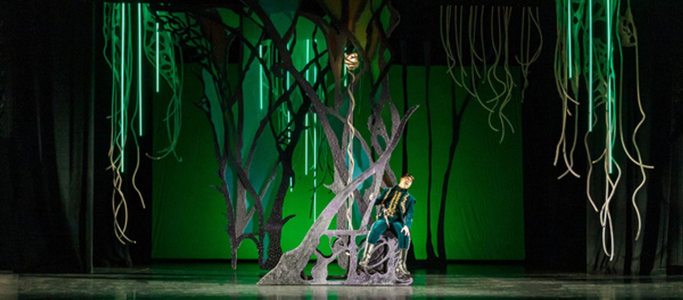 Photos: First Look at ARIODANTE at Pittsburgh Opera  Image