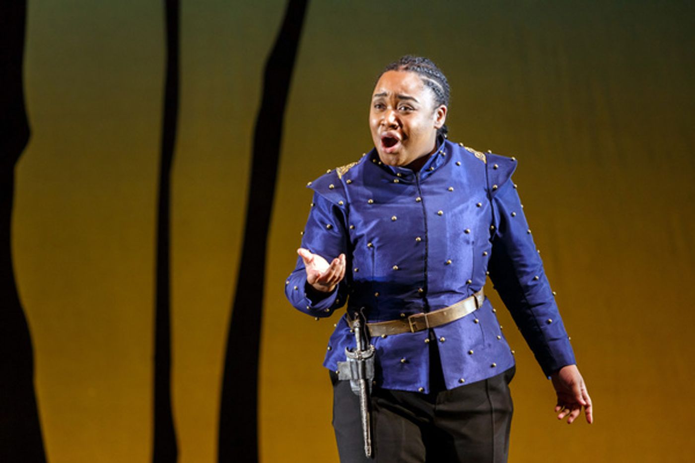 Photos: First Look at ARIODANTE at Pittsburgh Opera  Image