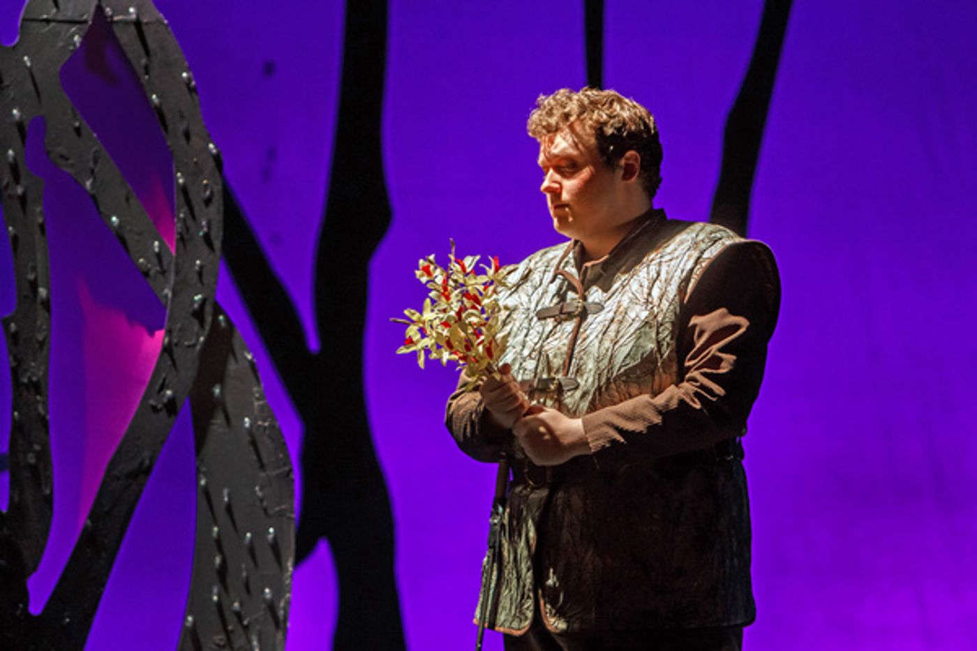 Photos: First Look at ARIODANTE at Pittsburgh Opera  Image