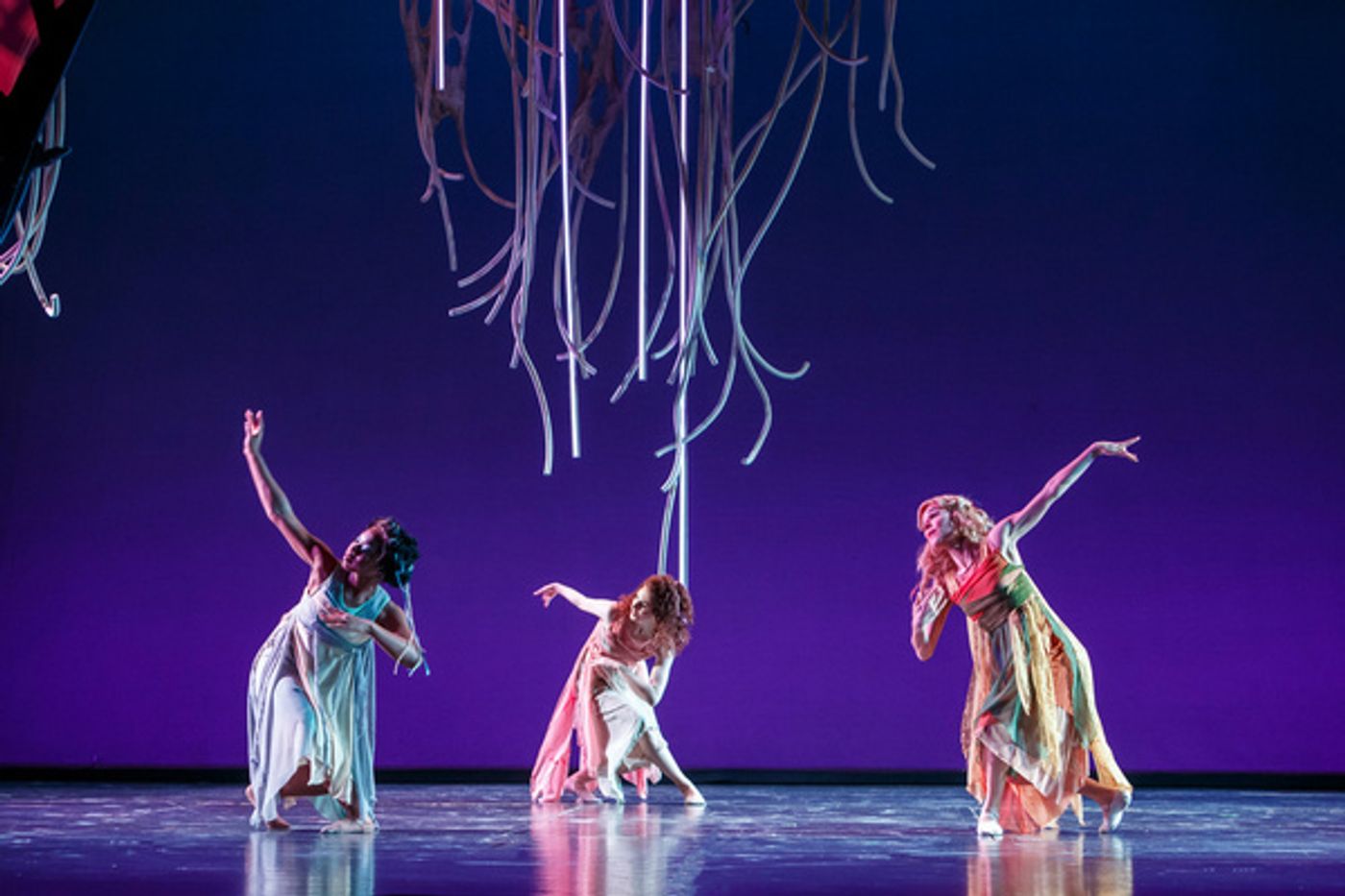 Photos: First Look at ARIODANTE at Pittsburgh Opera  Image