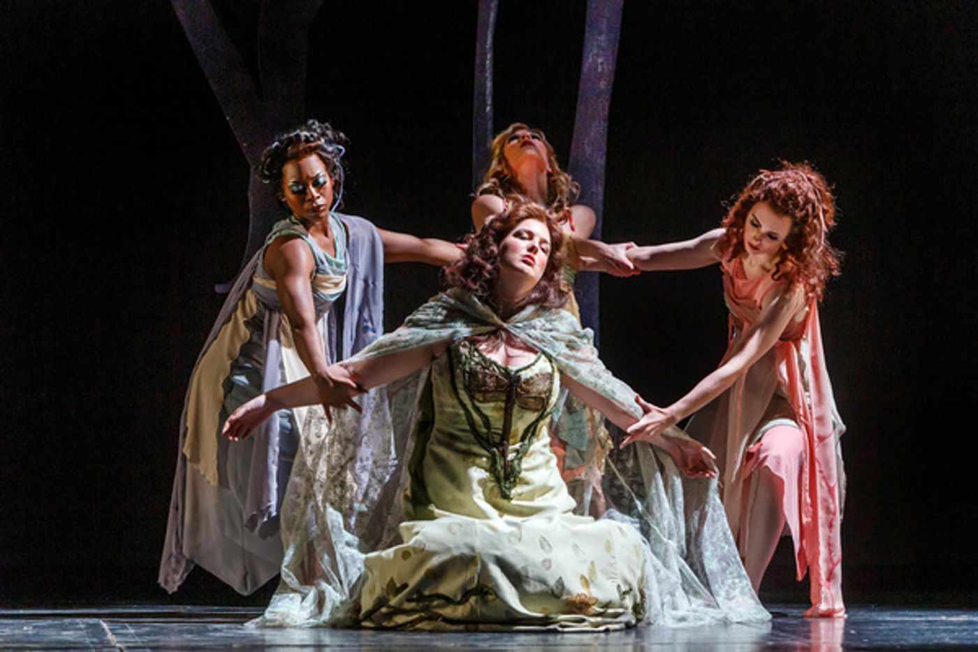 Photos: First Look at ARIODANTE at Pittsburgh Opera  Image