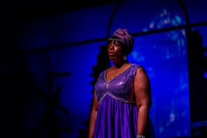 Debra Elana as Nina Simone @ BroadwayWorld Debra Elana as Nina Simone Photo