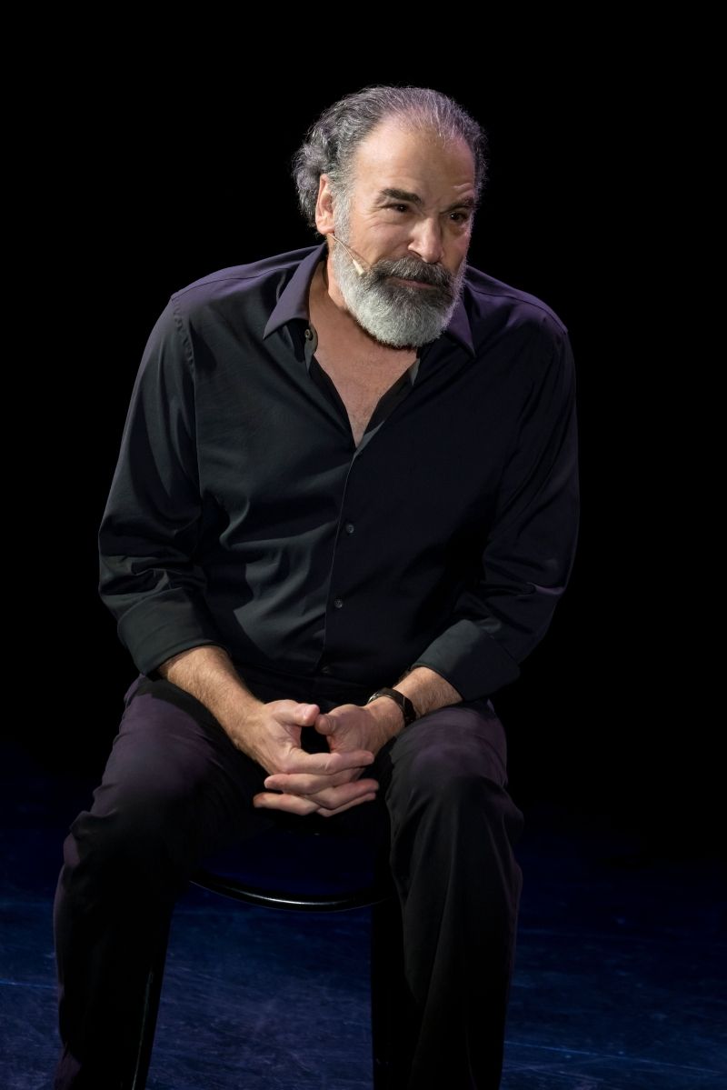 Review: MANDY PATINKIN: BEING ALIVE at Proctors Theatre  Image