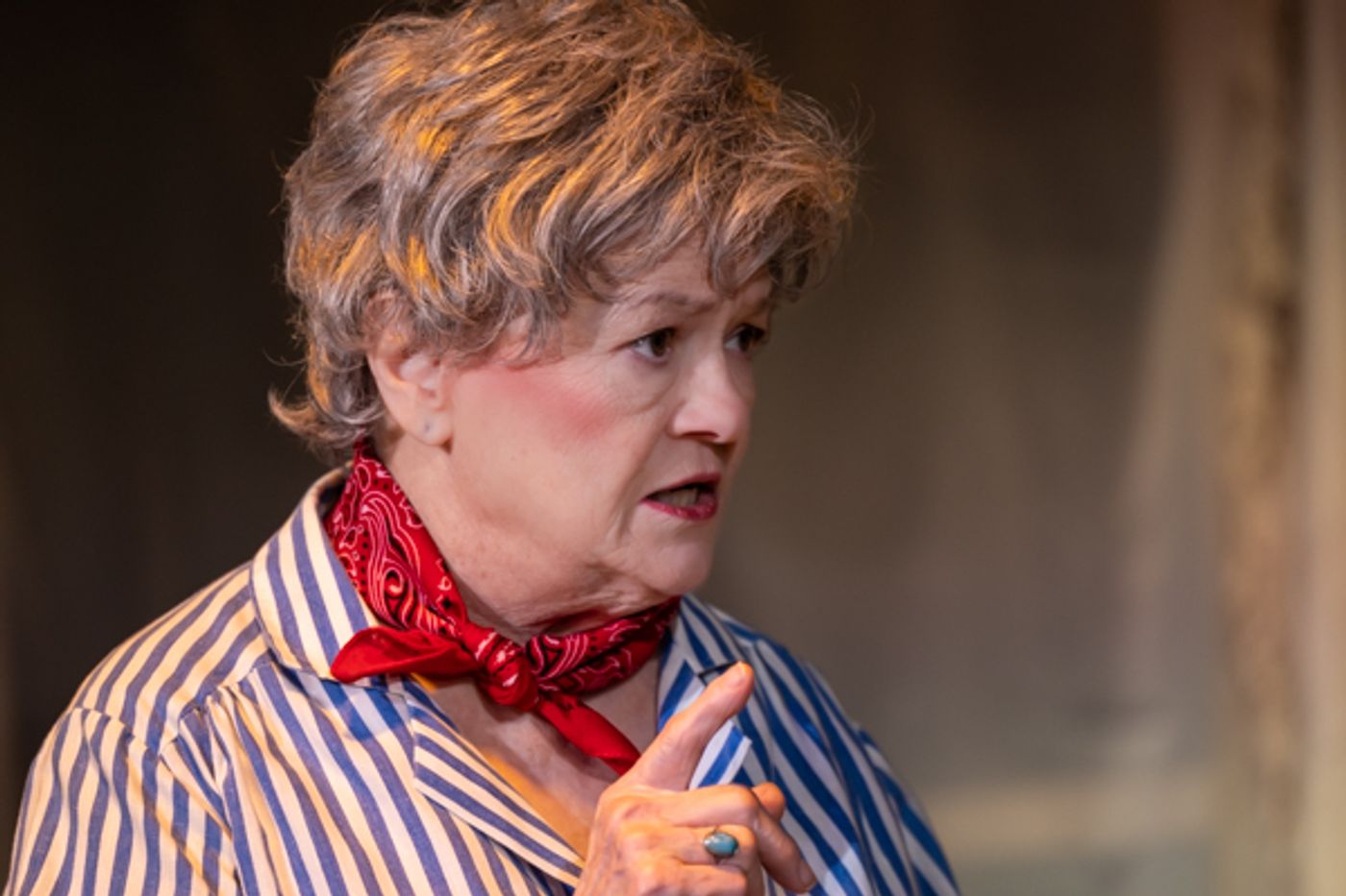 Photos: First look at The Alcove Dinner Theatre and Bruce Jacklin & Company's STEEL MAGNOLIAS  Image