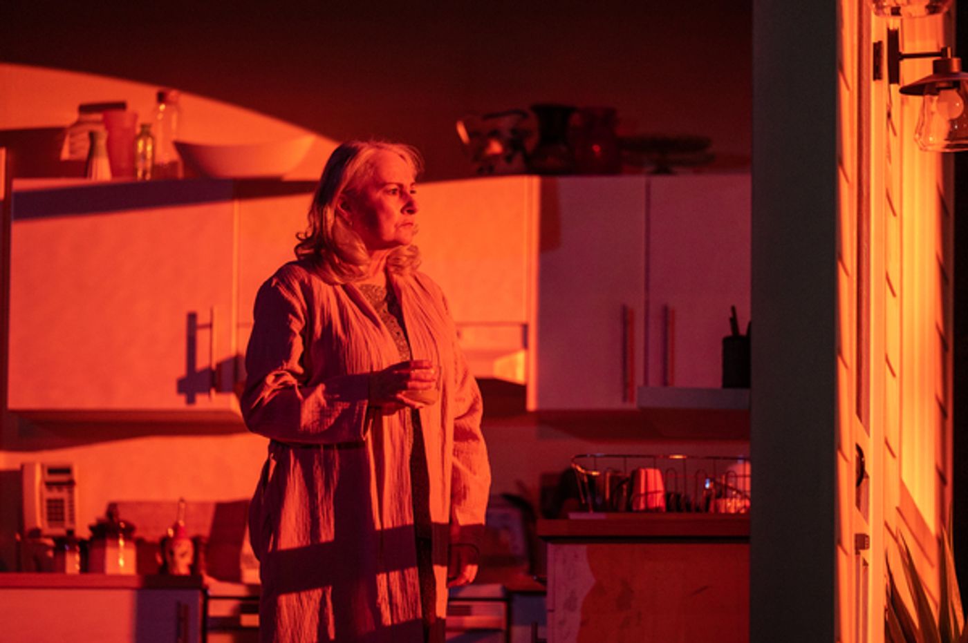 Photos: First Look At The Canadian Premiere Of THINGS I KNOW TO BE TRUE By Andrew Bovell  Image