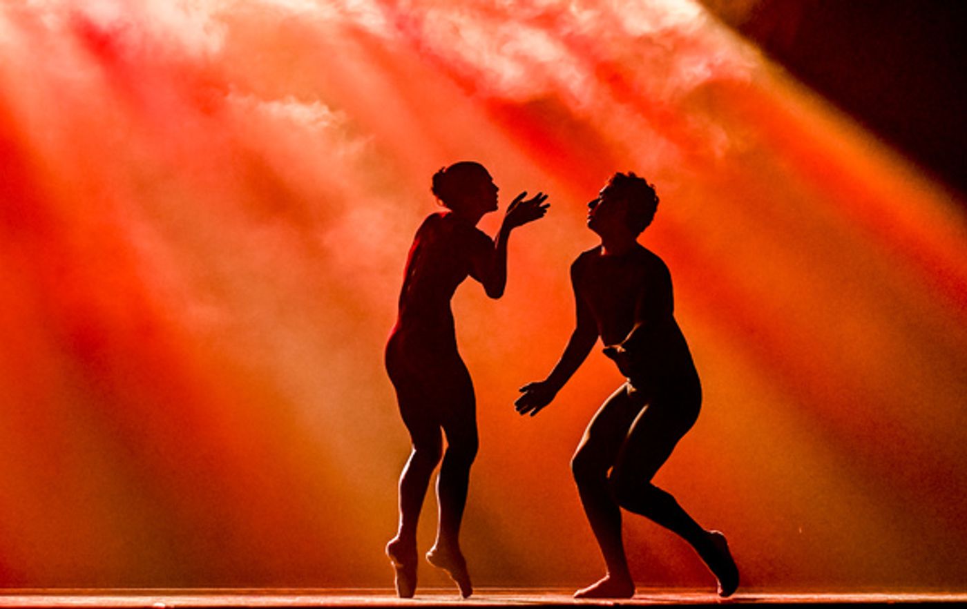 Photos: Go Inside FORWARD MOTION at Perelman Theater  Image