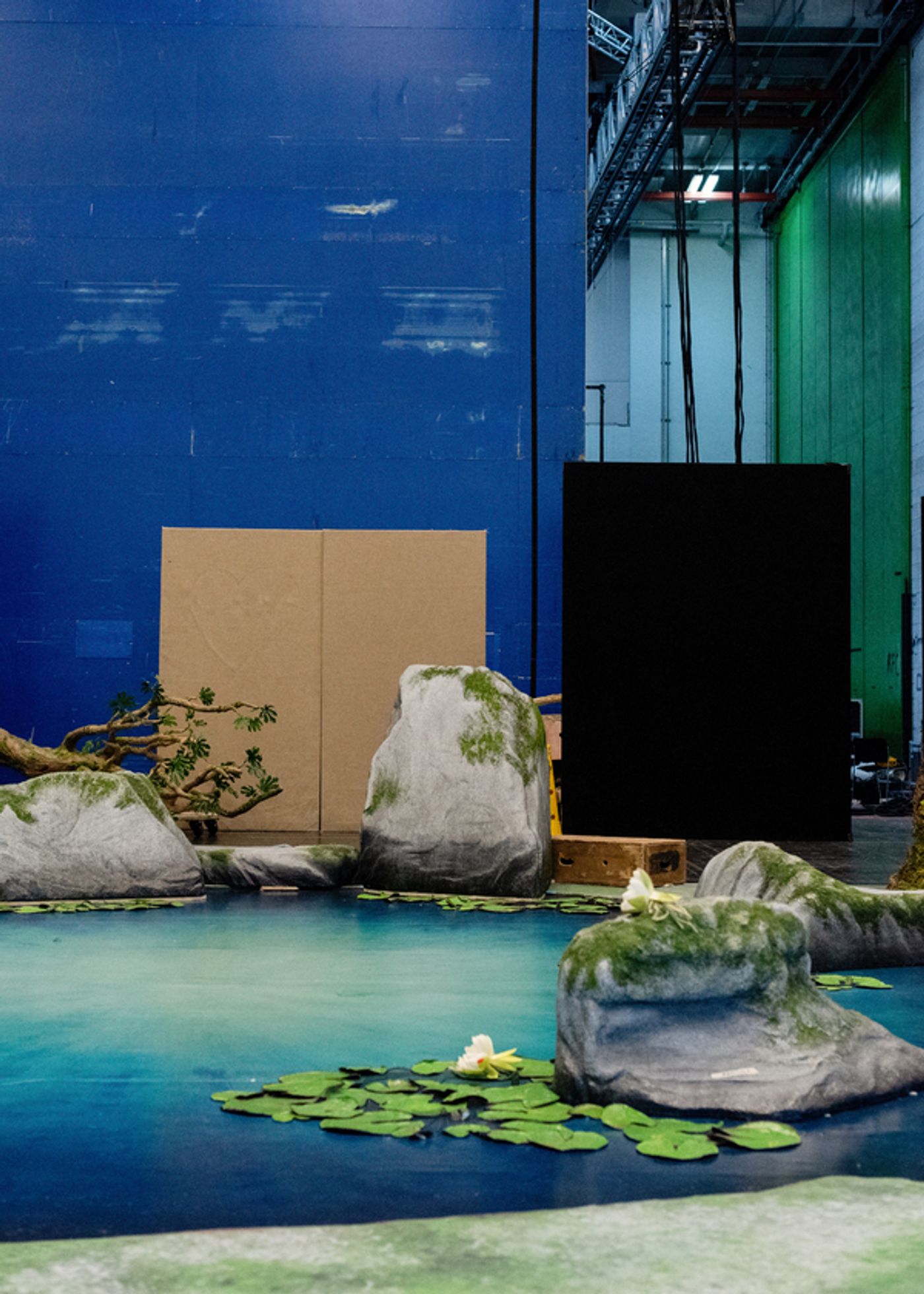 Photos: In Rehearsal for The Royal Opera's New Production Of Dvořák's Timeless Ode To Nature, RUSALKA  Image