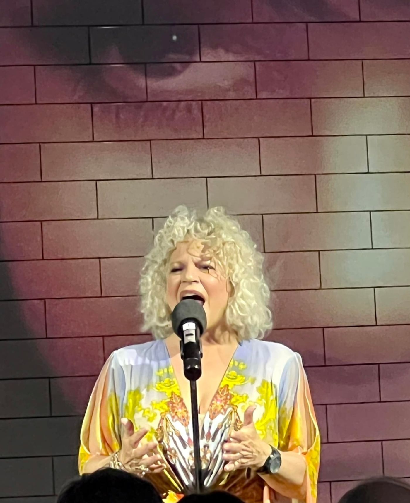 DIFFERENT DRUM: THE MUSIC OF LINDA RONSTADT at Palm Canyon Theatre  Image