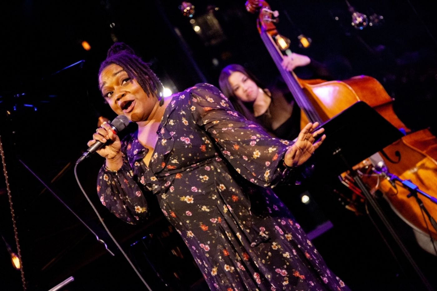 Review: BEWITCHED, BOTHERED, AND RODGERS AND HART at Dizzy's Club Keeps SONGBOOK SUNDAYS On A High Note  Image