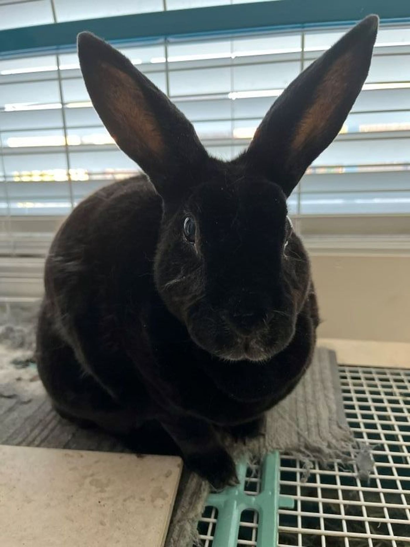 Student Blog: Back to School at UE!  Image