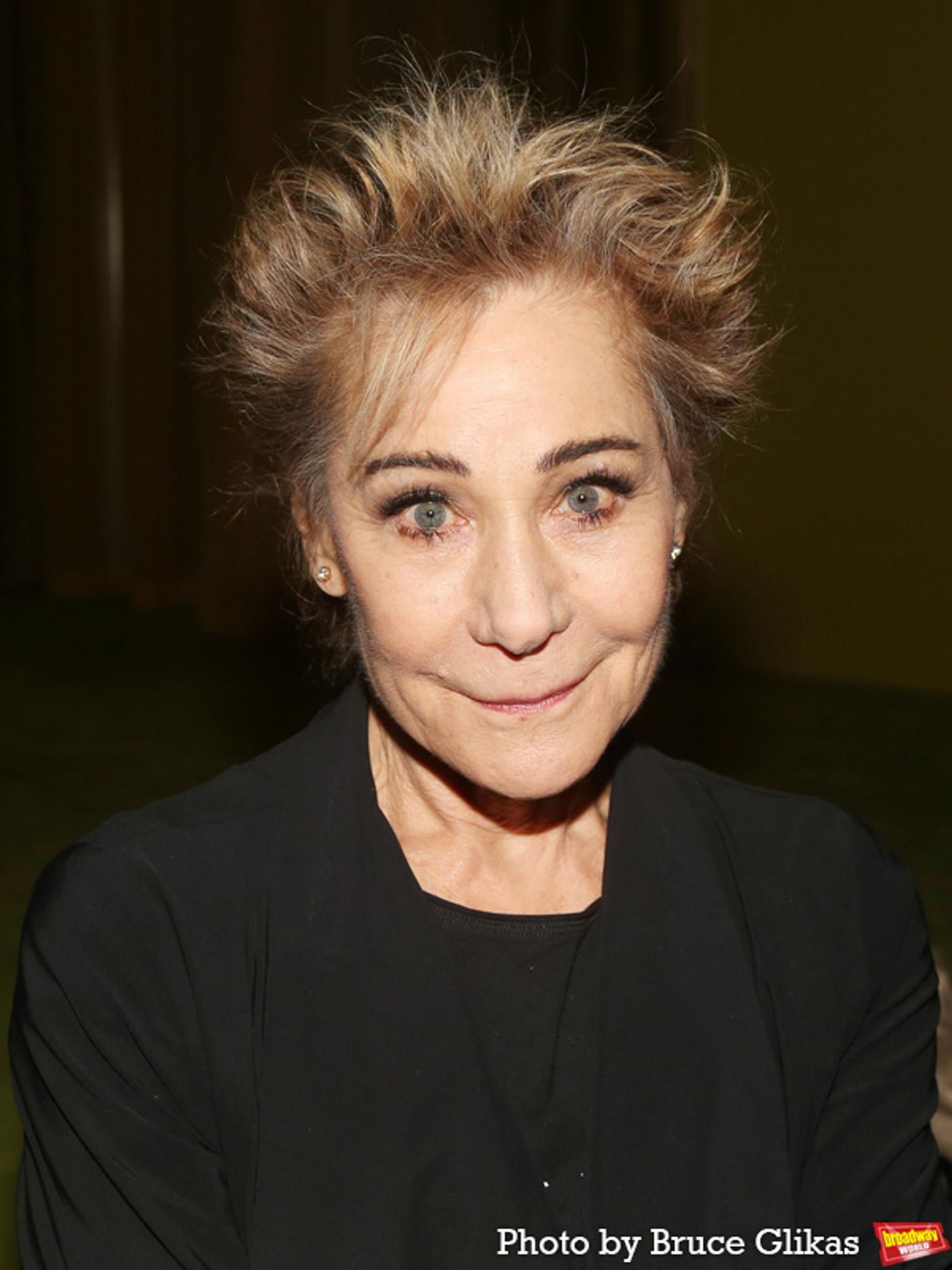 Photos: PICTURES FROM HOME Brings Out Meryl Streep, Matthew Broderick, Brian Cox And More On Opening Night!  Image