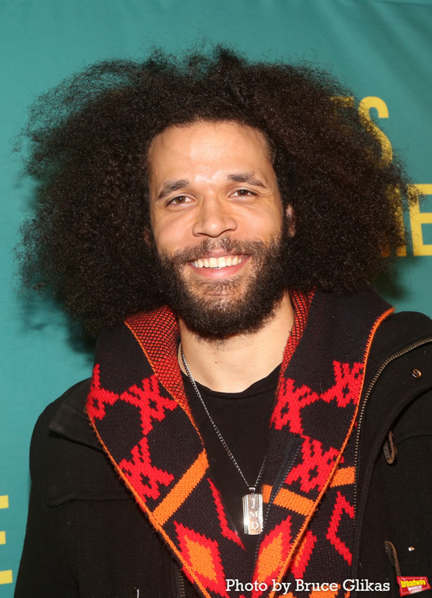 Photos: On the Red Carpet for PICTURES FROM HOME Opening Night  Image