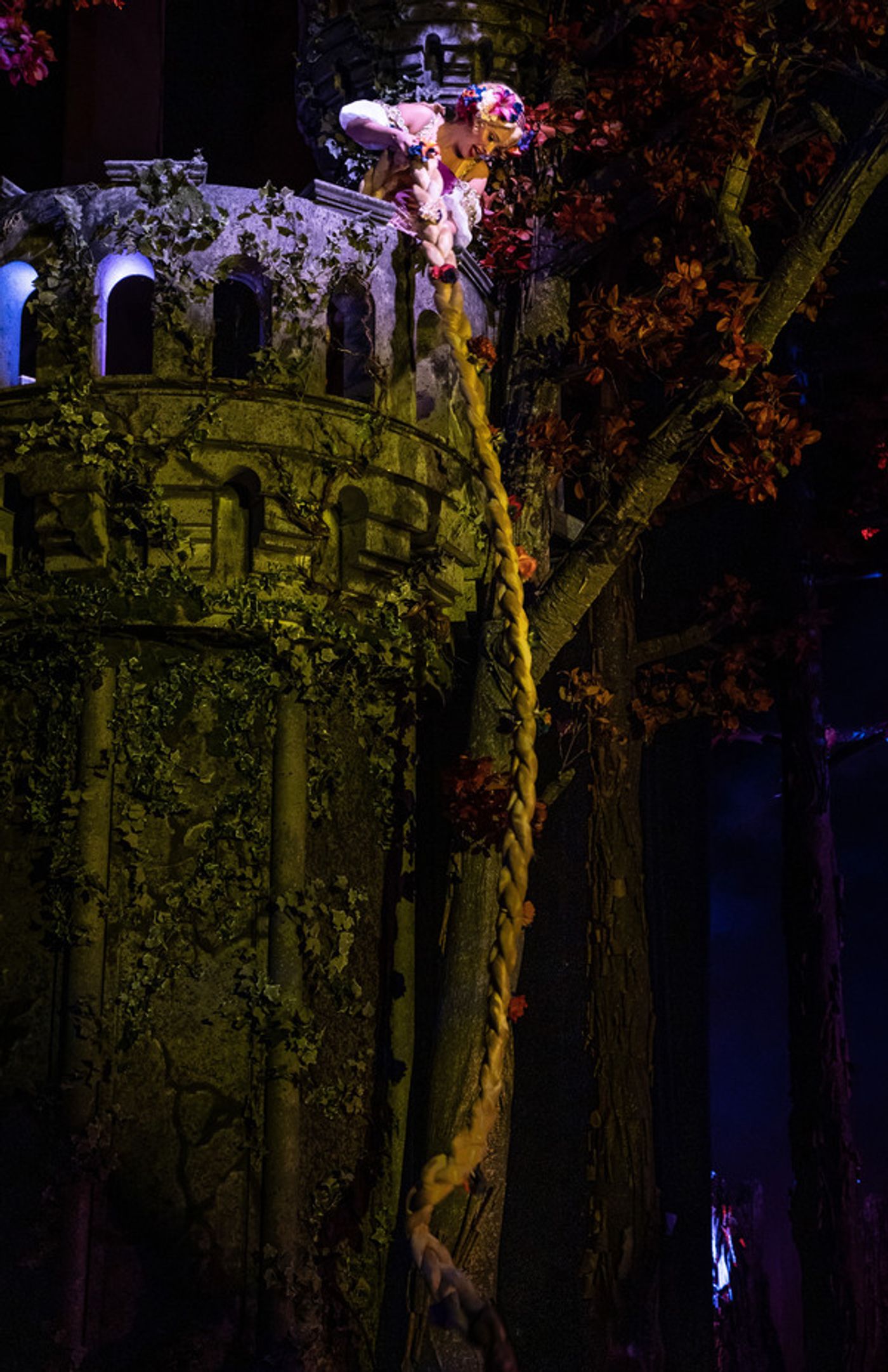 Photos: First Look at Natalie Weiss and More in INTO THE WOODS at Paramount Theatre  Image