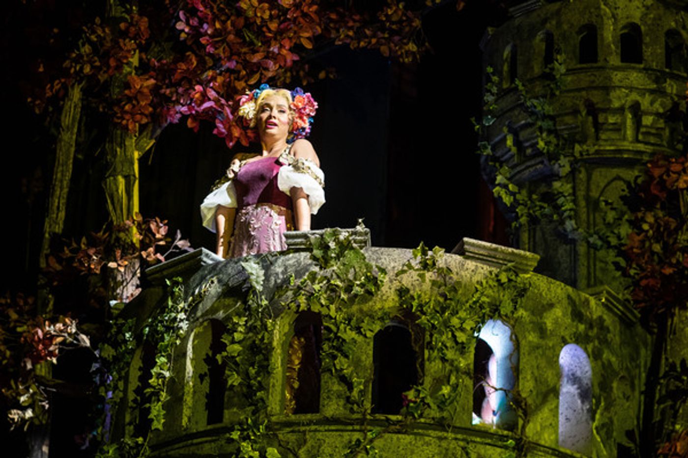 Photos: First Look at Natalie Weiss and More in INTO THE WOODS at Paramount Theatre  Image