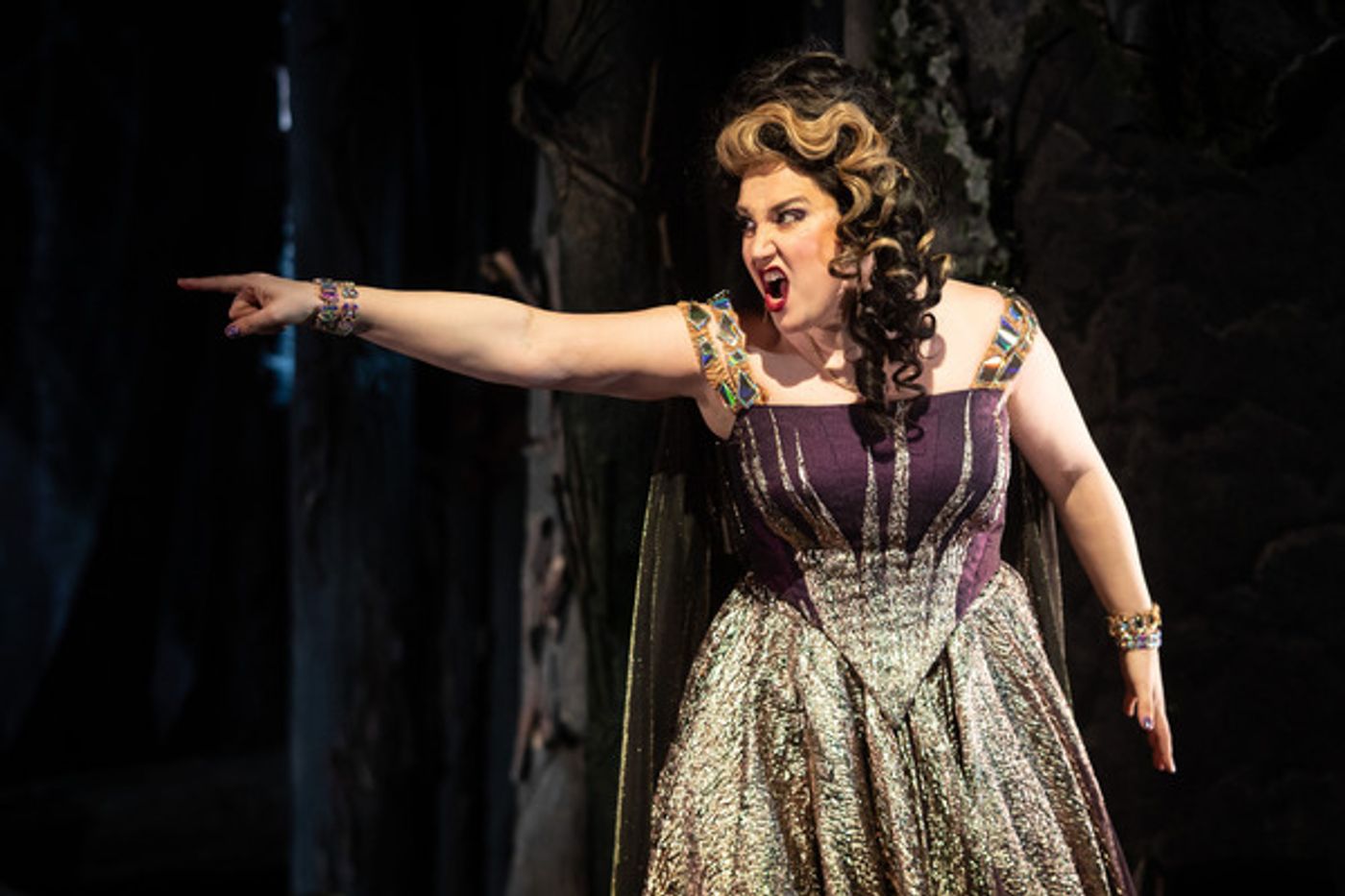 Photos: First Look at Natalie Weiss and More in INTO THE WOODS at Paramount Theatre  Image