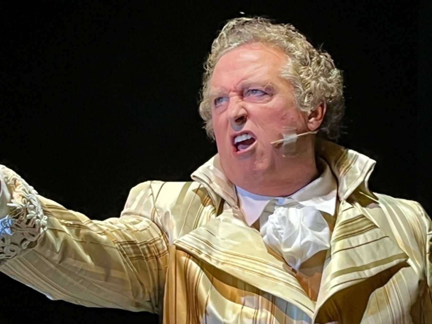 Review: THE SCARLET PIMPERNEL at Palm Canyon Theatre  Image