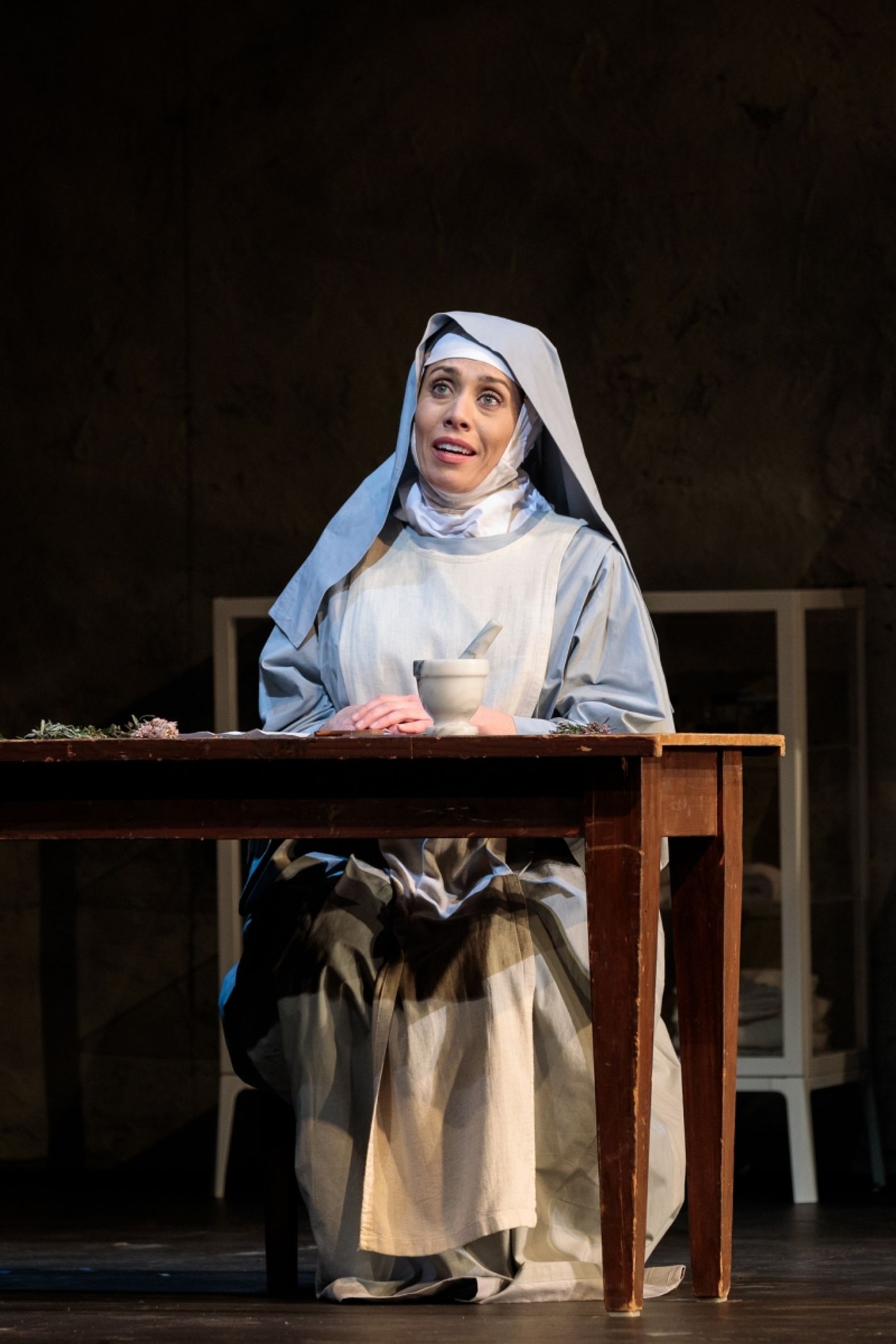 Review: THE SAN DIEGO OPERA'S PUCCINI DUO at San Diego Civic Center Theater  Image