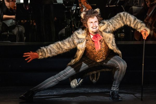 Gavin Creel Photo