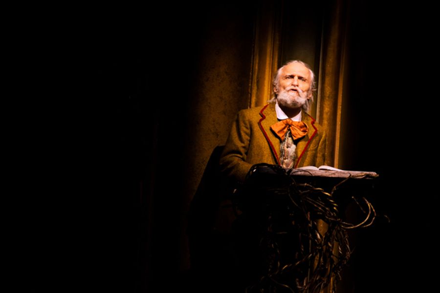 Photos/Video: First Look at Stephanie J. Block, Sebastian Arcelus, Montego Glover, Gavin Creel, and More in the INTO THE WOODS Tour Image