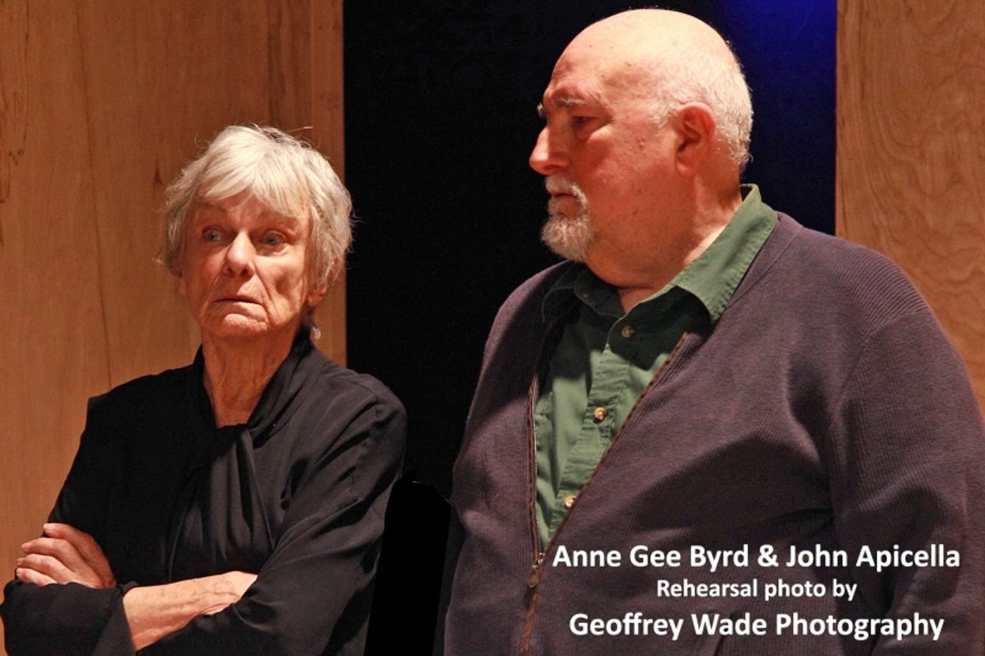 Interview: Emily Chase Talks LOVE AND INFORMATION At Antaeus Theatre Company  Image