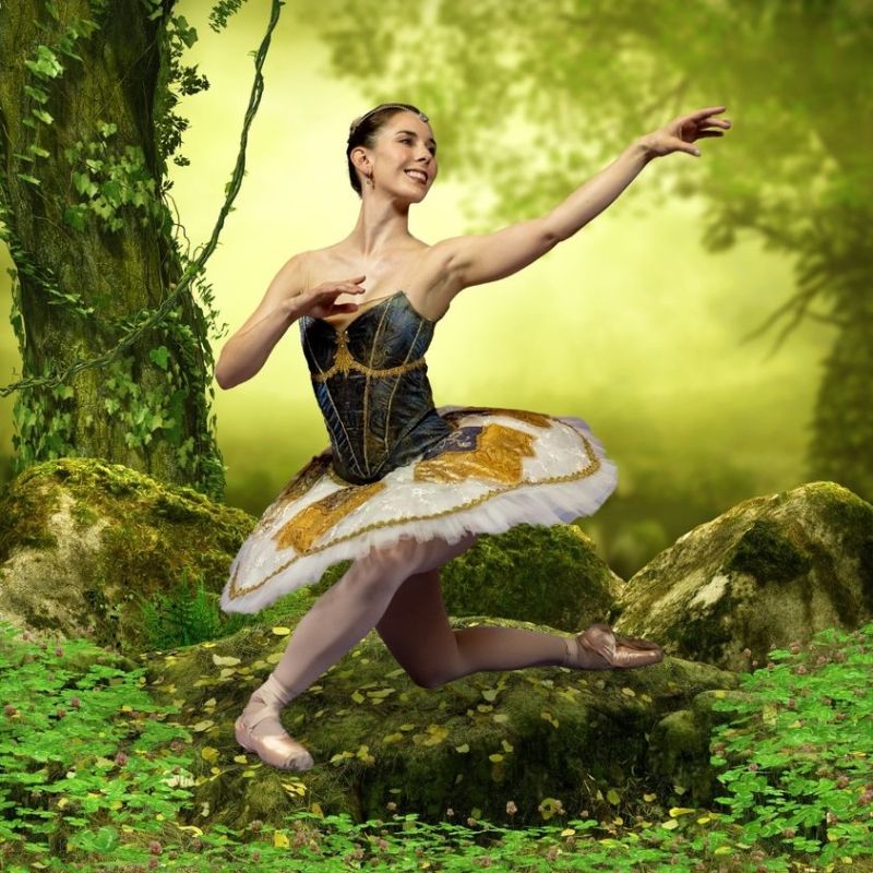 Review: SLEEPING BEAUTY at UA-Pulaski Tech: The Center For Humanities And Arts  Image