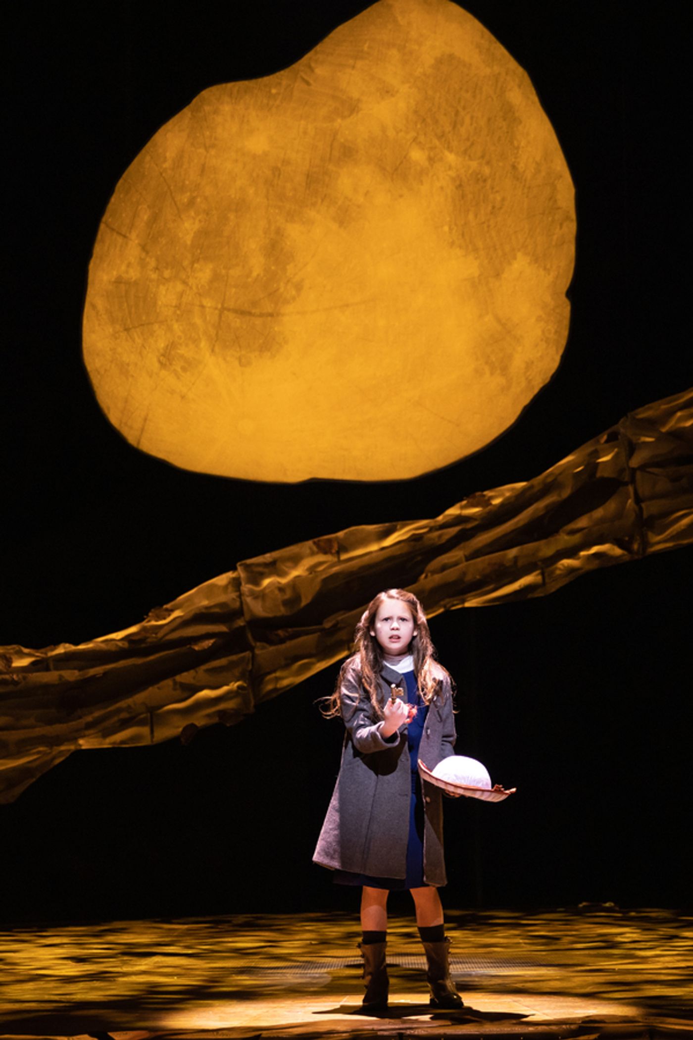 Photos: First Look At THE SECRET GARDEN Starring Sierra Boggess, Ali Ewoldt, and More At Center Theatre Group  Image