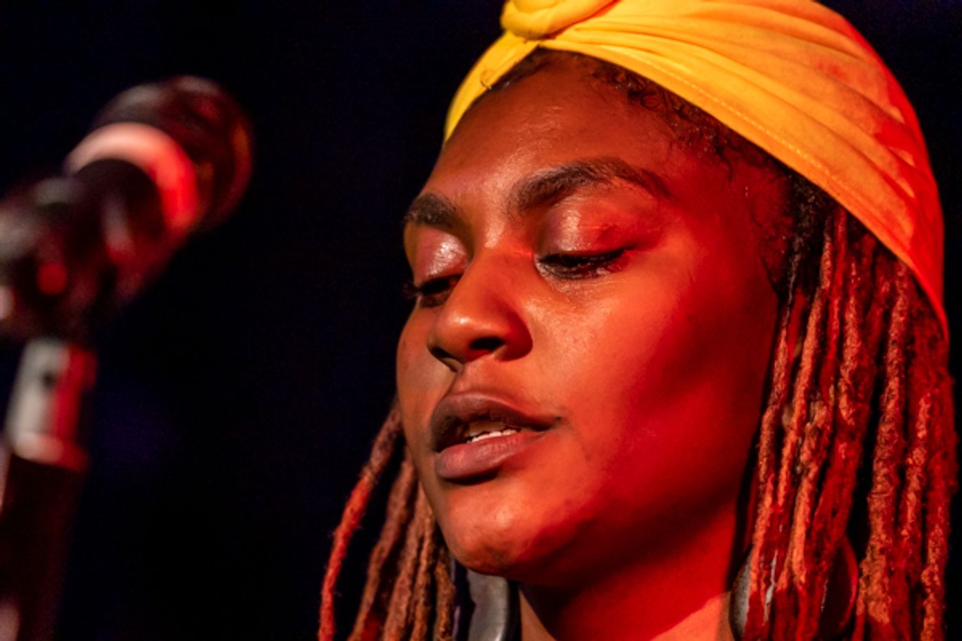 Photos: First Look at Sermontee Brown's THE CELEBRATION OF BLACKNESS Photos: First Look at Sermontee Brown's THE CELEBRATION OF BLACKNESS Image