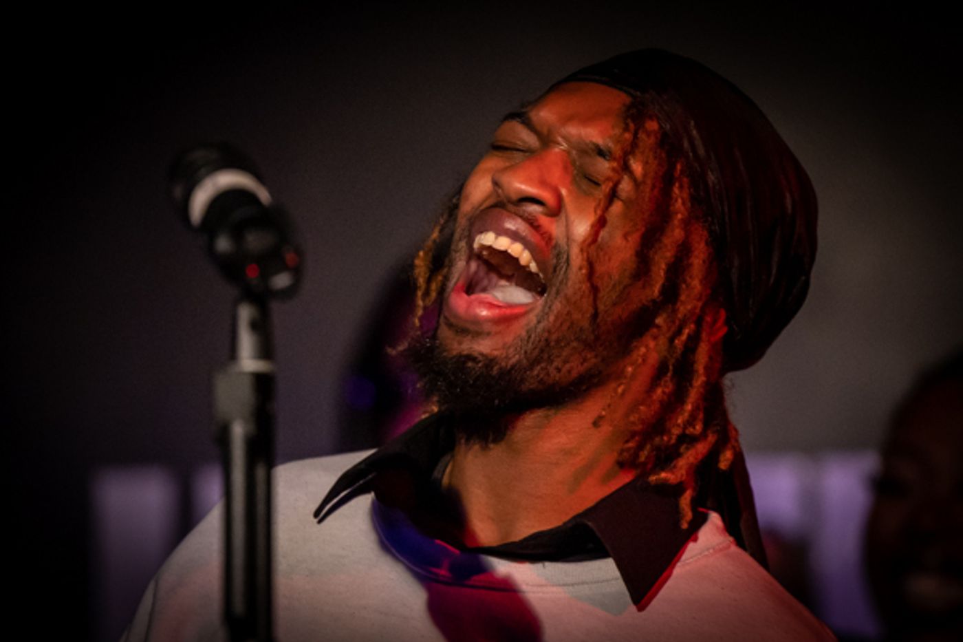 Photos: First Look at Sermontee Brown's THE CELEBRATION OF BLACKNESS Photos: First Look at Sermontee Brown's THE CELEBRATION OF BLACKNESS Image