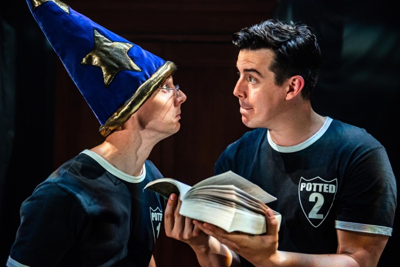 Review: POTTED POTTER at Pantages Theater  Image