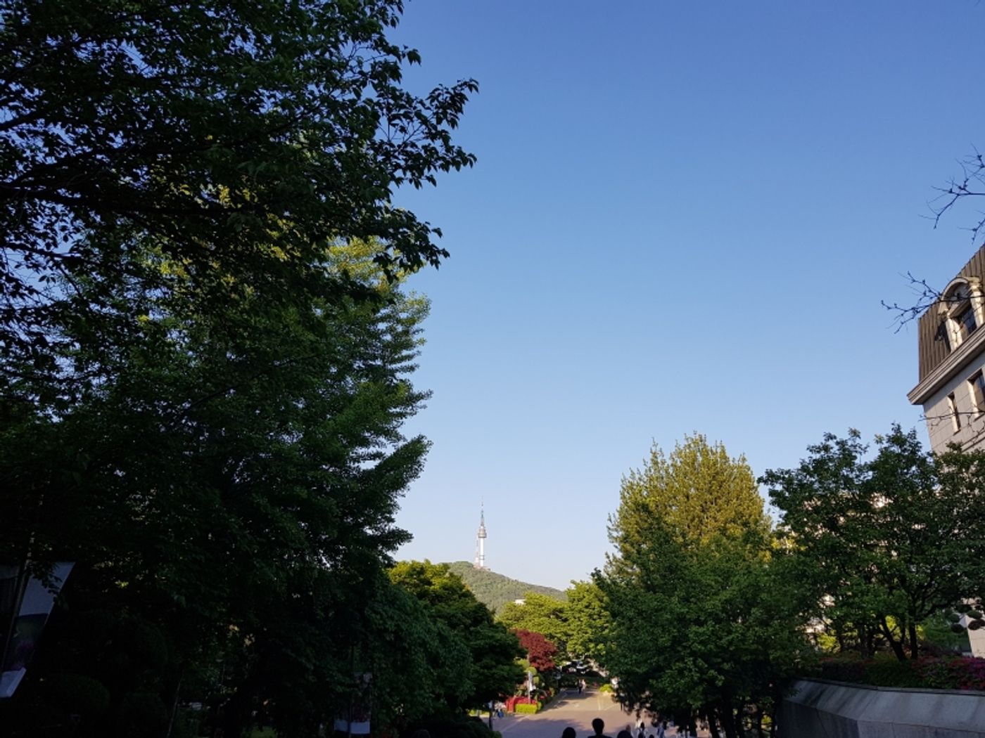 Student Blog: Back to School: University Life is Back to Normal  Image