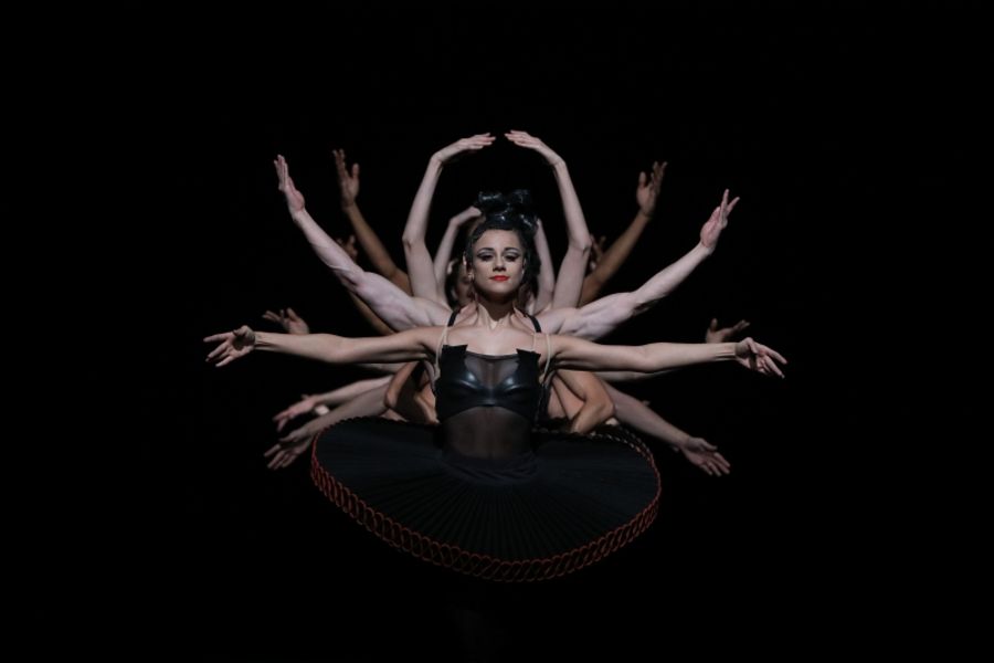 Interview: Lead Ballerina Tyler Donatelli Gives Us a Sneak Peek of Houston Ballet's Daring and Exciting DIVERGENCE Triple Bill Image