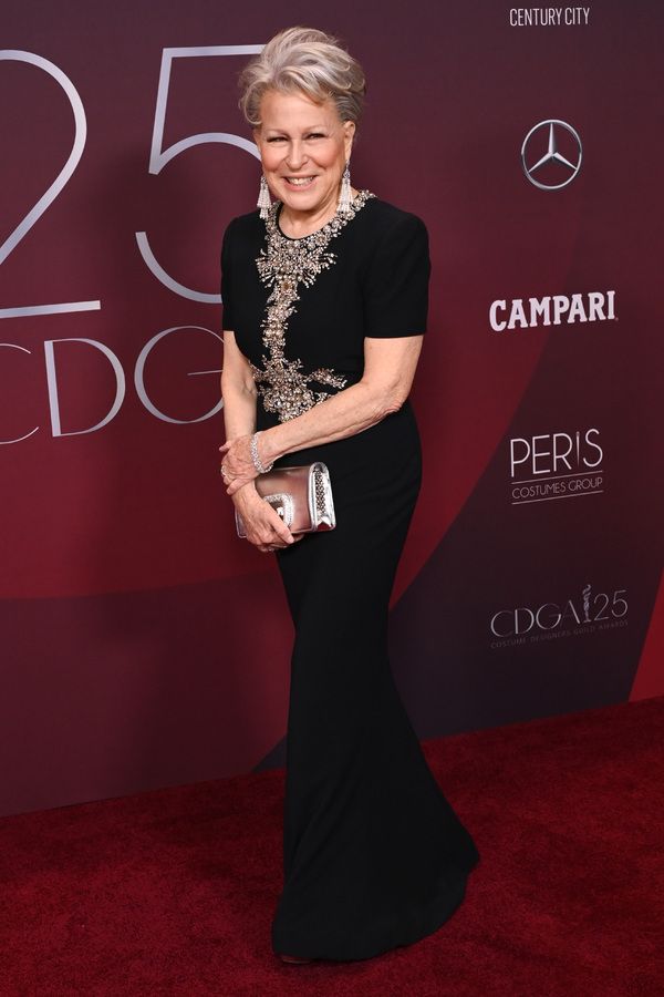 Bette Midler Photo