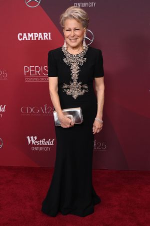 Bette Midler Photo