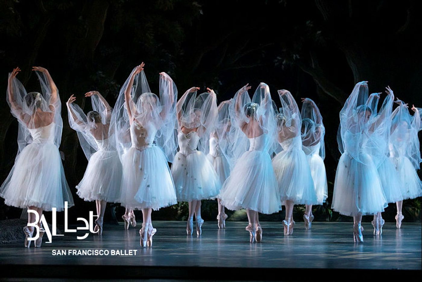 Review: GISELLE at San Francisco Ballet Casts an Otherworldly Spell  Image
