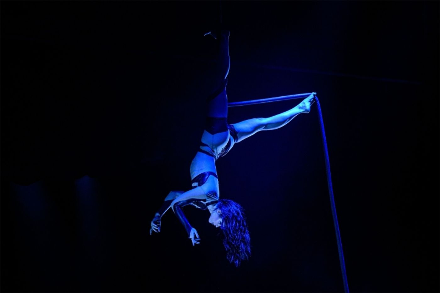 Review: ORACLE: A MYTHICAL JOURNEY THROUGH THE STARS At Regal Theatre  Image