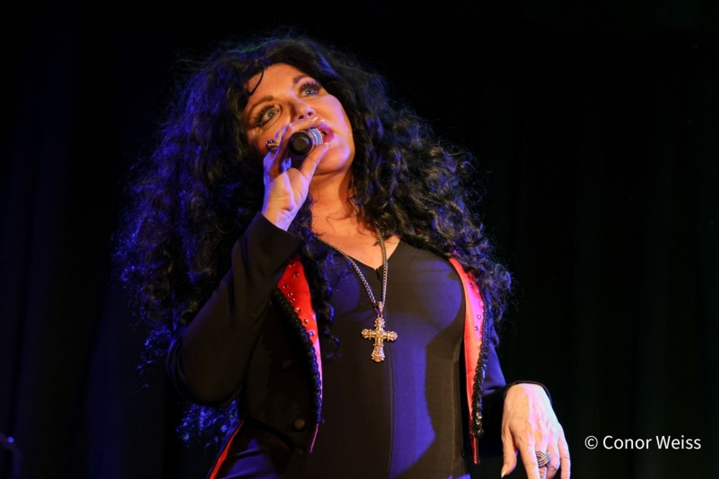 Photos: Dorothy Bishop Presents THE DOZEN DIVAS SHOW at The Triad Photos: Dorothy Bishop Presents THE DOZEN DIVAS SHOW at The Triad Image