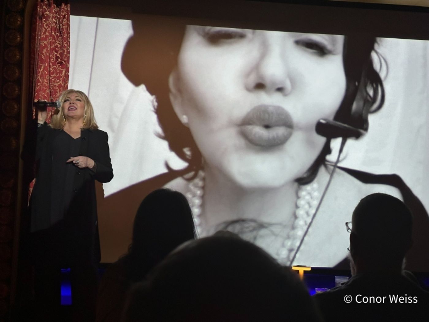 Photos: Dorothy Bishop Presents THE DOZEN DIVAS SHOW at The Triad Photos: Dorothy Bishop Presents THE DOZEN DIVAS SHOW at The Triad Image