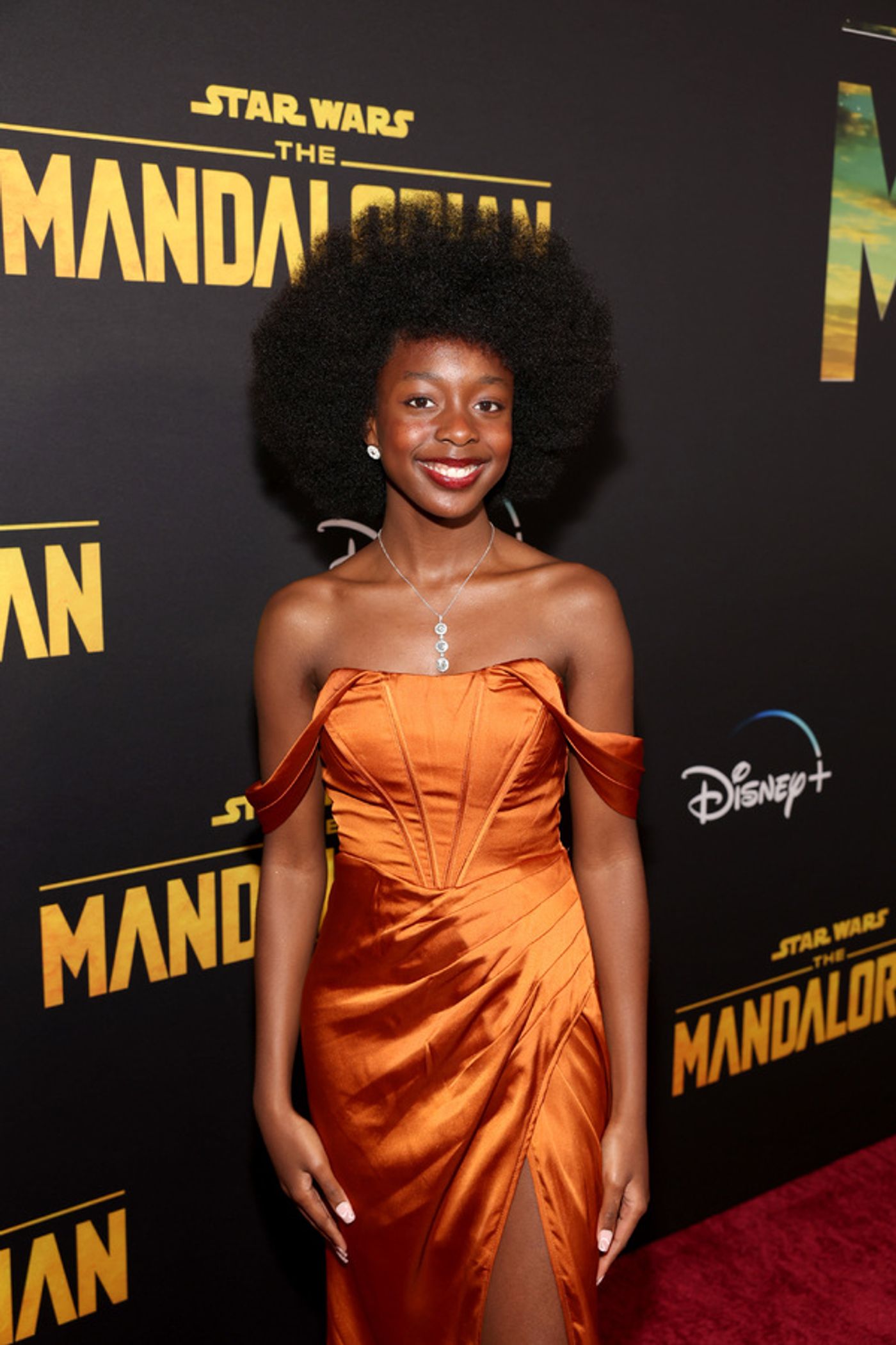 Photos: Stars Attend THE MANDALORIAN Season Three Launch  Image