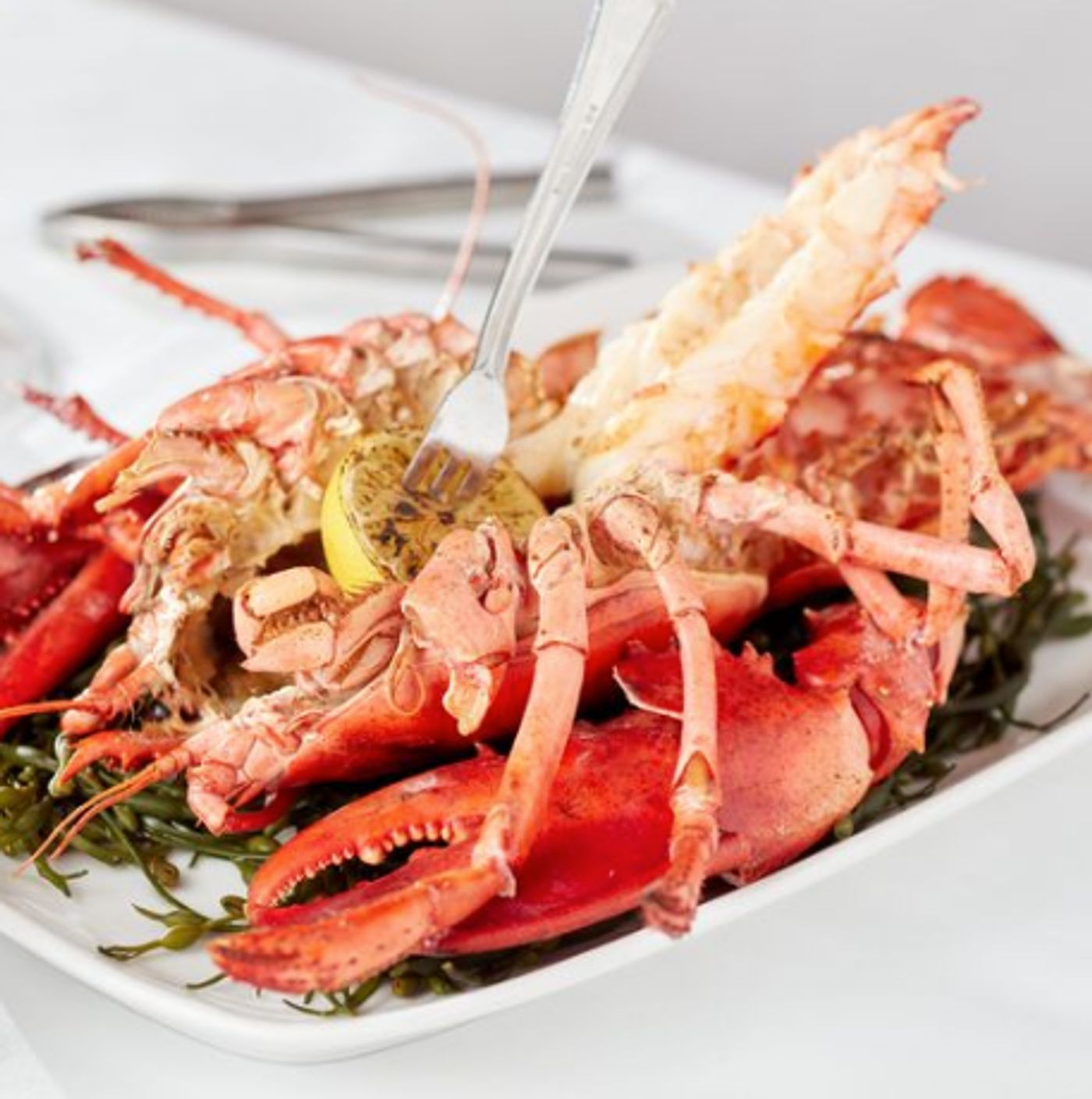 Review: SEA FIRE GRILL in Midtown East Offers Superb Dining in an Elegant Setting Review: SEA FIRE GRILL in Midtown East Offers Superb Dining in an Elegant Setting Image