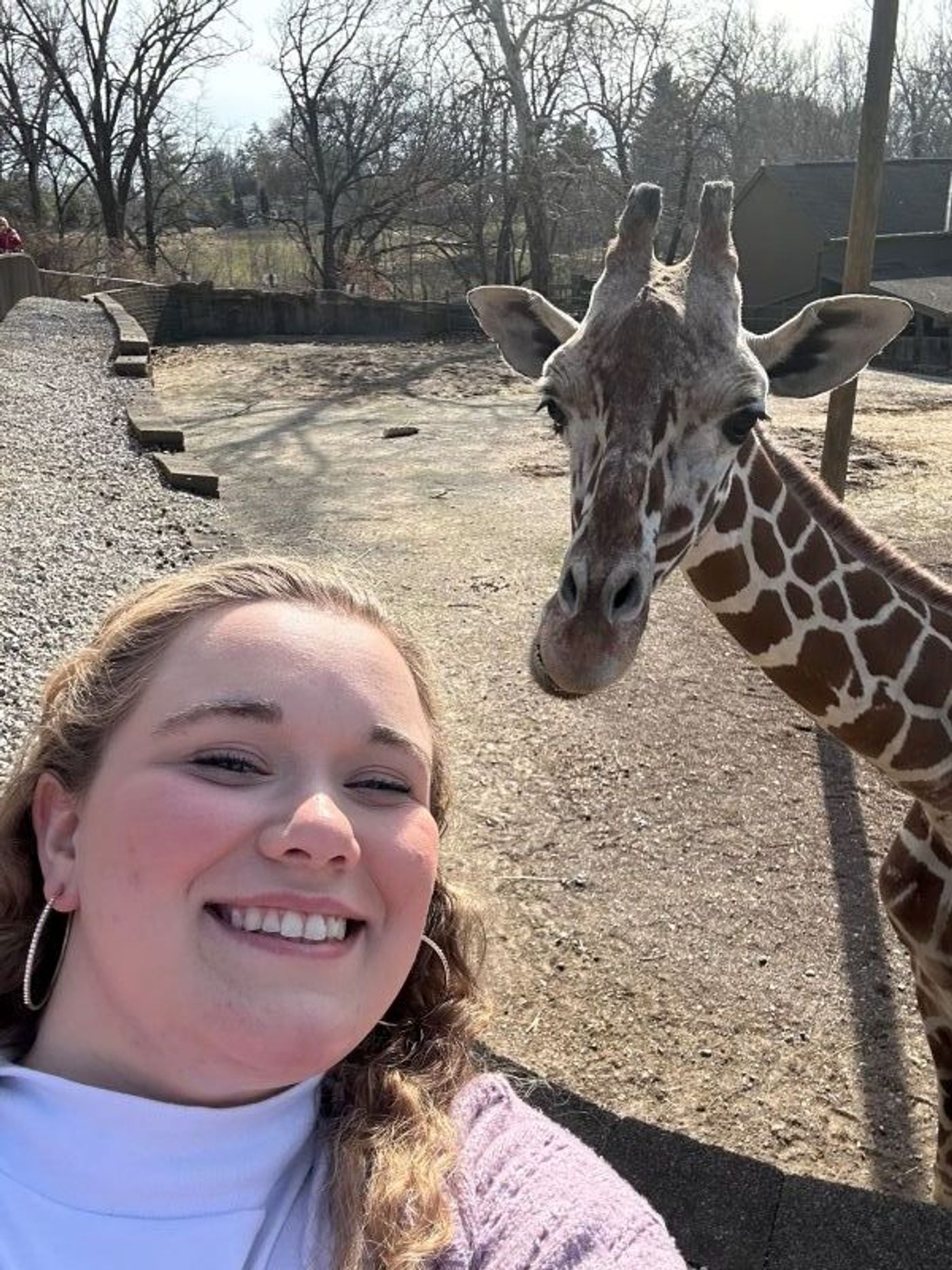 Student Blog: Road Trip!  Image