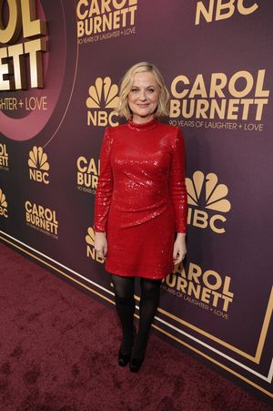 Amy Poehler @ BroadwayWorld Amy Poehler Photo