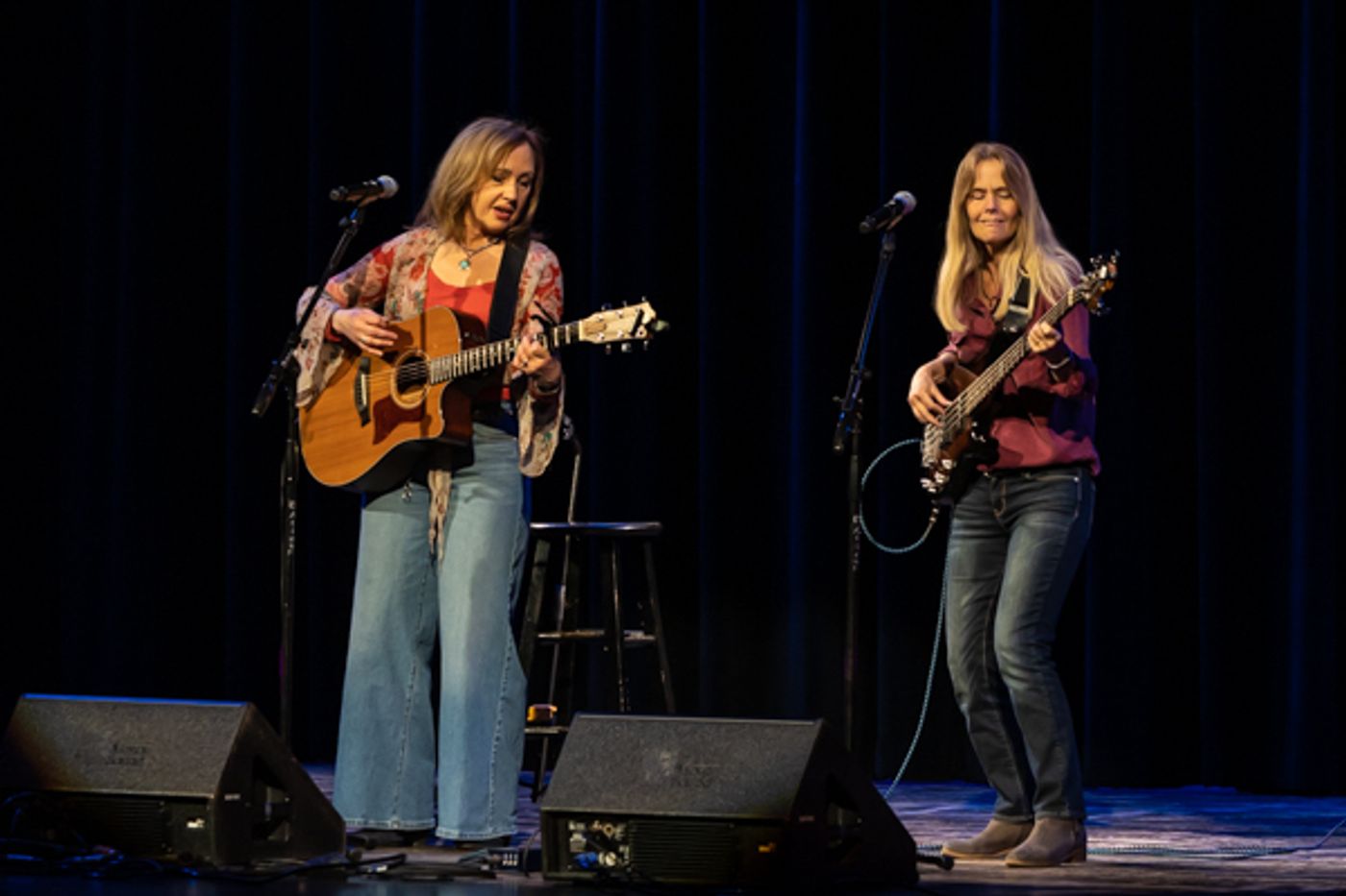 Photos: Inside Mount Vernon Art's Consortium's PAUL REISER: Live Stand Up Comedy  Image