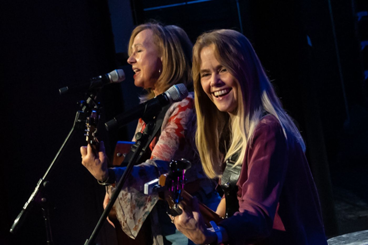 Photos: Inside Mount Vernon Art's Consortium's PAUL REISER: Live Stand Up Comedy  Image